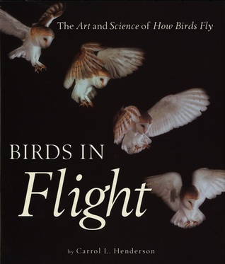 Far Away Bird by Douglas A. Burton