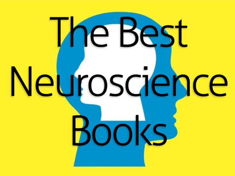 The Best Books About Neuroscience - Book Scrolling